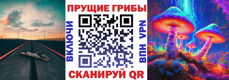 Псилоцибиновые грибы Psilocybine cubensis  цены наркотик  Балашиха 